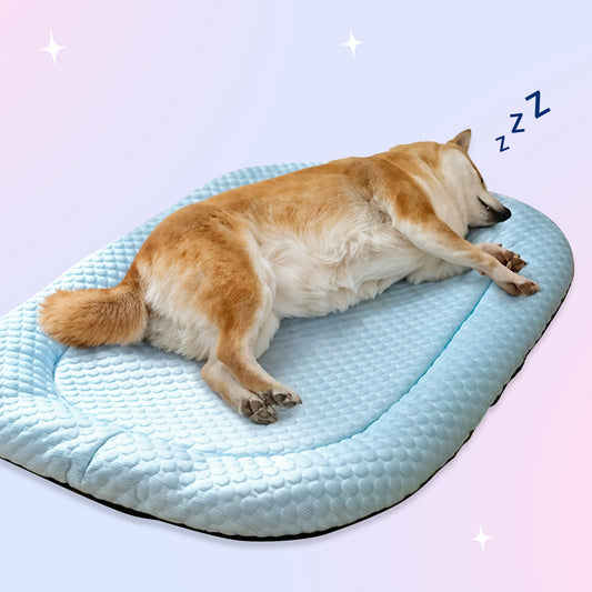 Ice-Silk Pet Bed
