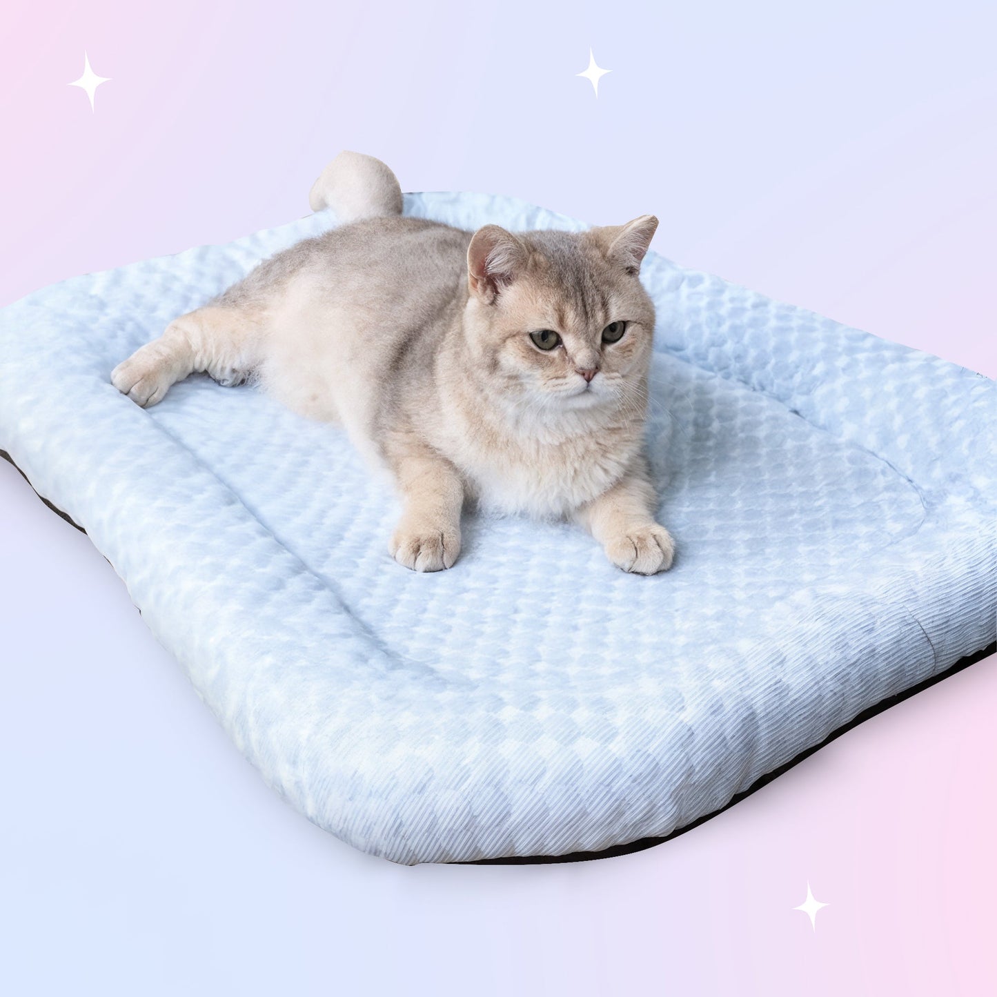 Ice-Silk Pet Bed