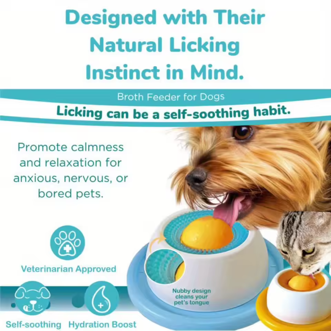 Interactive Bowl