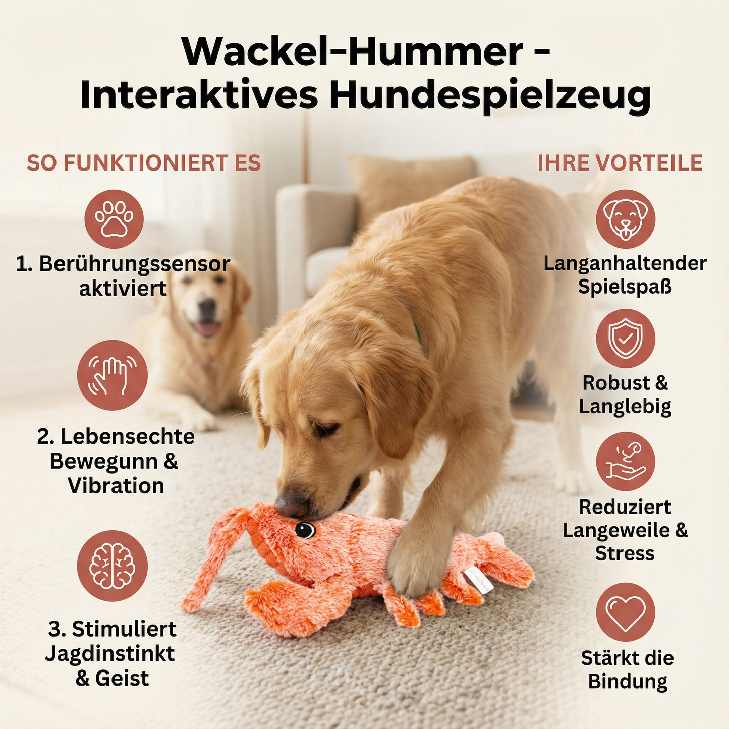 Wackel-Hummer